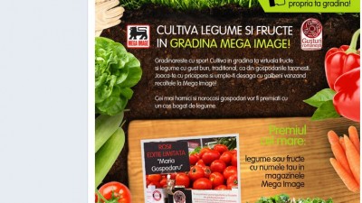 Aplicatie de Facebook: Gradina Mega Image - Landing Page
