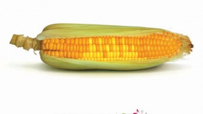 Godrej - Corn