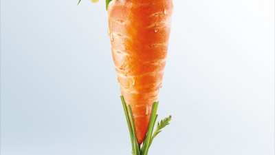 Pierre Martinet - Vegetable smoothie, Carrot