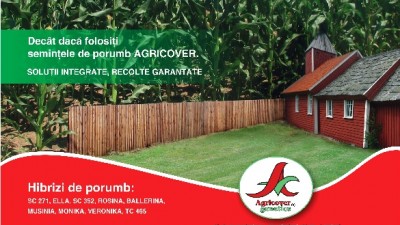 Agricover - Porumb