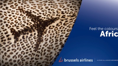 Brussels Airlines - Feel the colours of Africa, Leopard