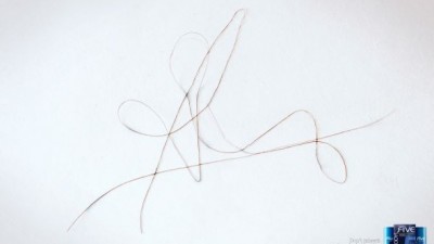 Fermofive - Curly Signature