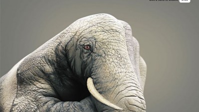 WWF - Elephant