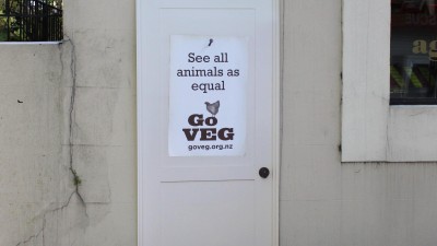 SAFE-the voice for all animals - See All Animals As Equal