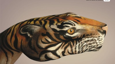 WWF - Tiger