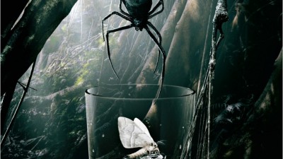 Diageo Australia Pampero - Spider