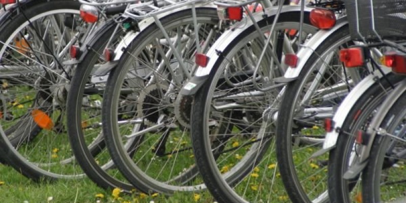 Biciclop, Veloteca si Pegas despre cum s-au miscat afacerile cu biciclete in perioada crizei