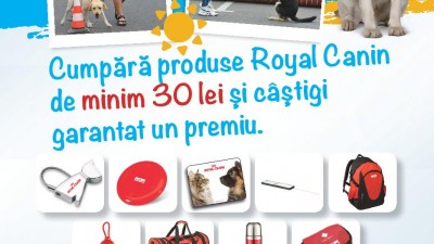 Royal Canin - Summer Pet Festival