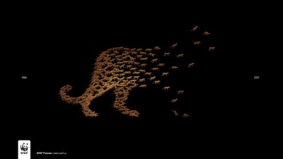 WWF Russia - Leopards