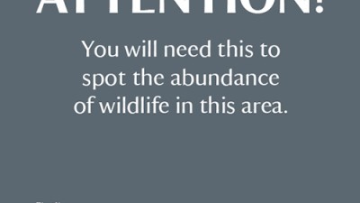National Trust - Attention