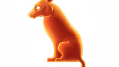 Animal de Companie - Caine (Orange)