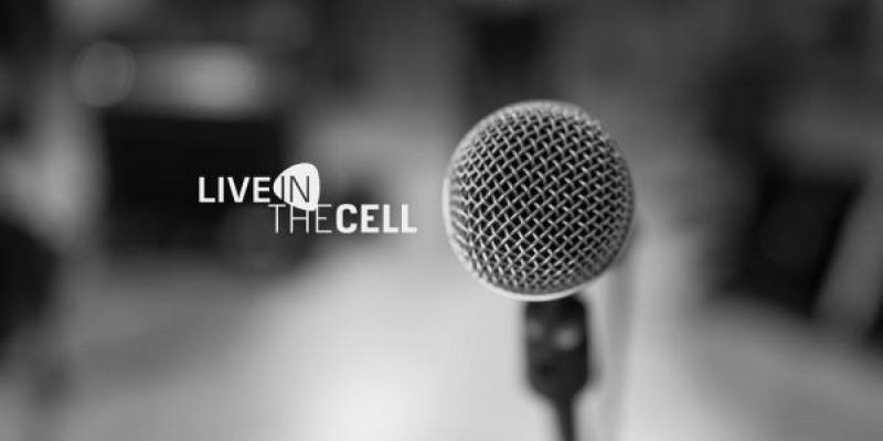 TheCell a lansat primul proiect propriu – miniconcerte inregistrate live, in studio, cu trupe tinere