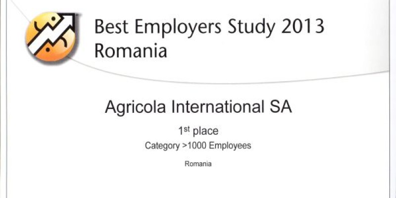 Cel mai bun angajator roman in 2013