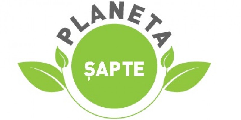 Grup Sapte anunta rezultatele programului intern de CSR