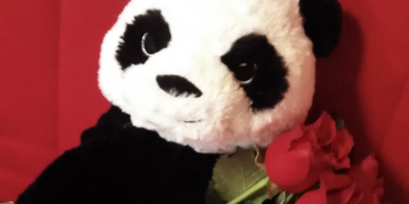 "Panda iubeste florile”, campania promotionala rezultata din parteneriatul dintre foodpanda.ro si FlorideLux.ro