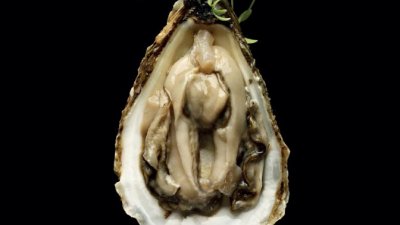 The Voir Restaurant Guide - Oyster