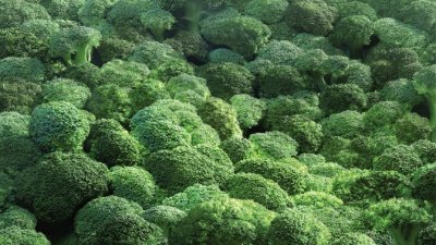 Whirlpool ECO-Fridge - Broccoli