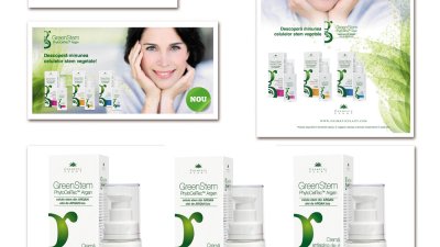 Cosmetic Plant - GreenStem