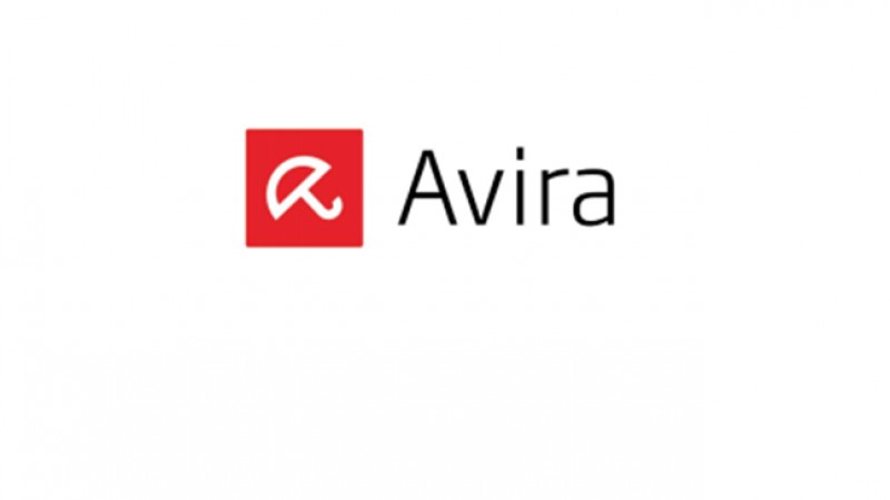 Angajatii Avira Romania au reparat gardul de la SOS Satele Copiilor Cisnadie