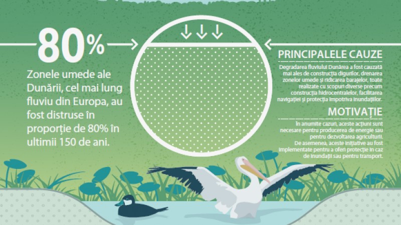 WWF si Coca-Cola lanseaza un proiect pentru conservarea si refacerea unor zone din lungul Dunarii