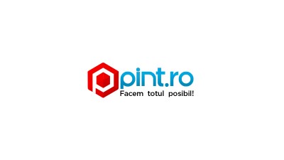 pint.ro - Logo