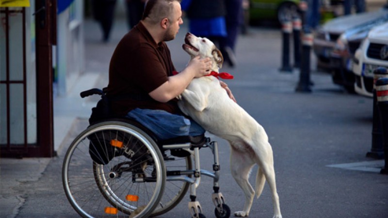 Mircea Merge Mai Departe: o campanie sociala centrata pe entuziasm, nu pe compasiune