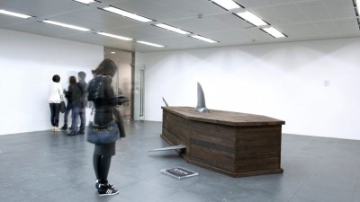 IFAW - Shark Coffins (1)