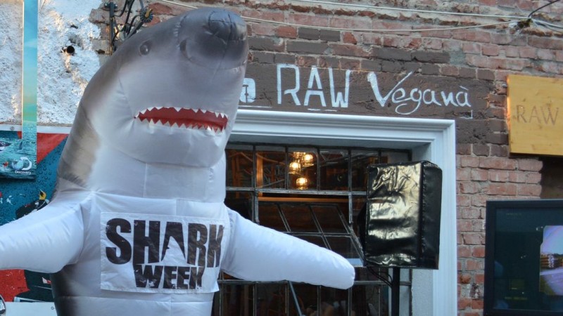 Ultimele 3 zile de Shark Week de pe Discovery Channel - Rechini, rechini, rechini