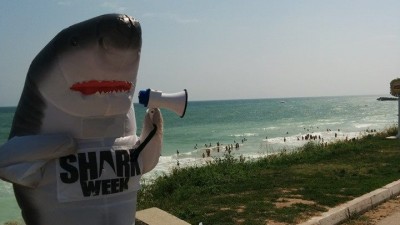 Shark Week incepe astazi pe Discovery Channel si Animal Planet