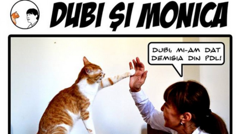 Candidatii la presedintie si internetii: Monica Macovei
