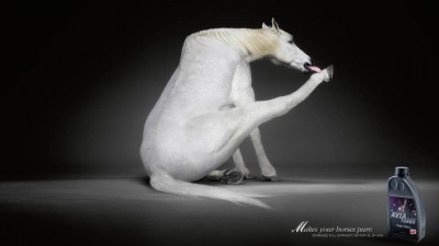 Avia Turbo - White horse