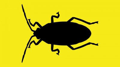 baicoi-artparasites graiesc: Am vazut ca se fac multi bani din pagina #berlin si am vrut sa furam din targetul romanesc