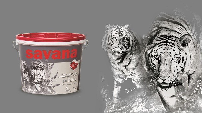 savana provoaca imaginatia cu o noua infatisare