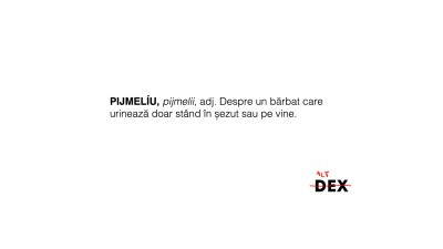Autorii Dictionarului de cuvinte care nu exista: Suntem mai degraba grammar Khmers Rouges decat nazis. In Romania ar trebui instituita o pedeapsa medievala (de exemplu, umplerea cu sobolani) pentru cum e violata limba