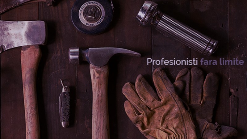 S-a lansat prima platforma din Romania care asigura o relatie de incredere intre prestatorii de servicii si utilizatori – myAles.ro