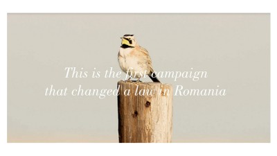 [Premiile FIBRA #1] Gold FIBRA - Jazz Communication - A voice for songbirds #saveoursongbirds / SOR (Romanian Ornithological Society) / SOR