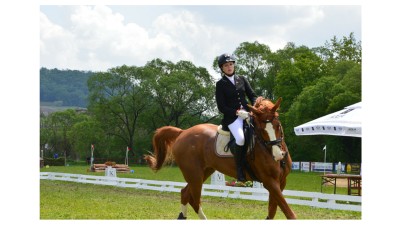 Record de inscrieri la cea de-a sasea editie Transylvania Horse Show: 36 de locuri ocupate in doar 72 de ore la Concursul International Universitar