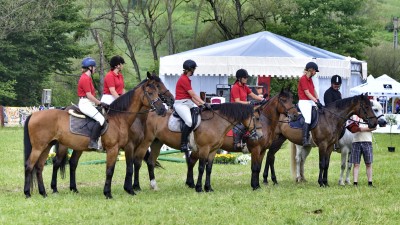 Transylvania Horse Show, cea mai populara competitie ecvestra in randul studentilor din intreaga lume