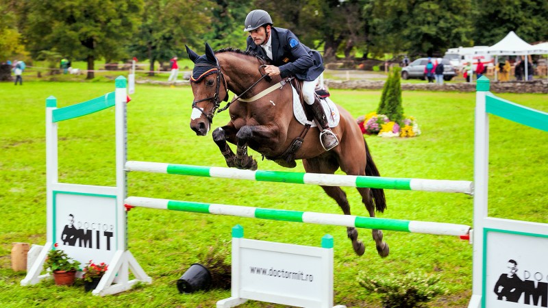 Karpatia Horse Show 2016, o competiție ecvestră ca un festival
