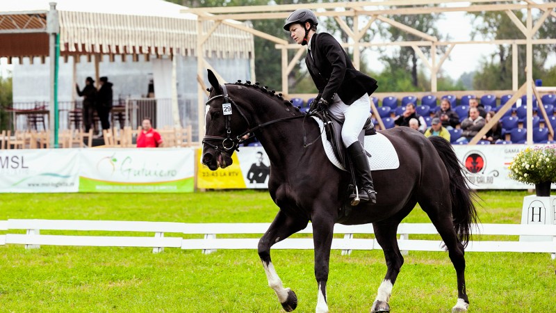Karpatia Horse Show 2016: performanță, spectacol ecvestru, atracție turistică, cultură și entertainment