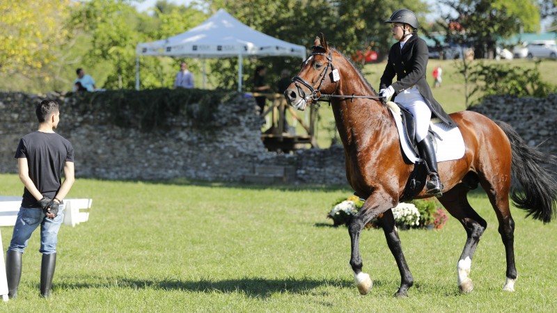 Karpatia Horse Show 2016: opt mii de spectatori s-au bucurat de ineditul unui show ecvestru de anvergură internațională