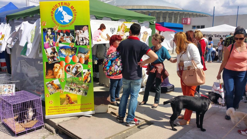 Șase asociații vor lansa campania "Adoptă un câine" la Pet Expo