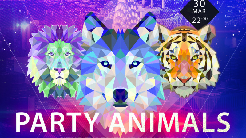 Be ready for Party Animals!
