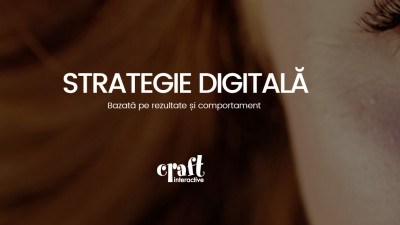 Craft Interactive - Strategie digitala