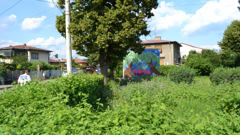 Dulux Romania a adus culoare in Ploiesti marcand debutul proiectului Let’s Colour in Romania