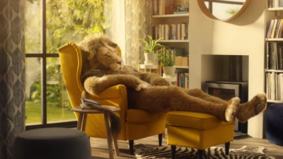 Locul unui leu este in sufragerie