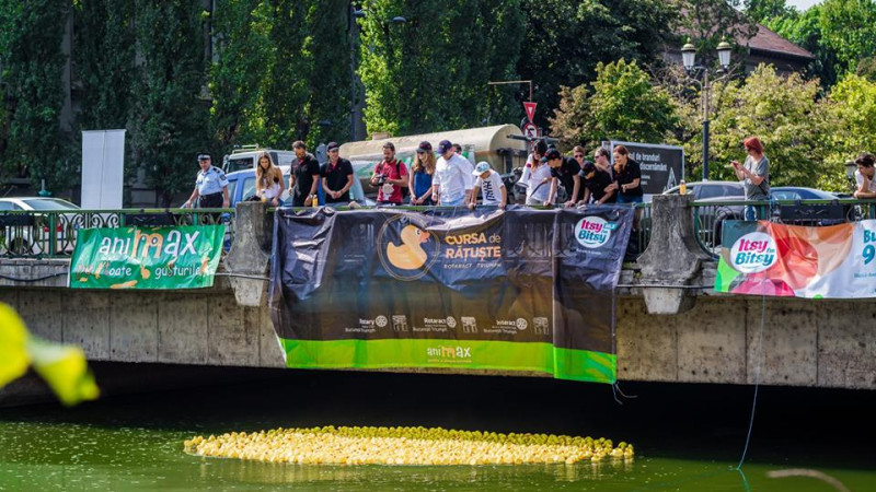 Toamna aceasta, cluburile Rotaract din Bucuresti organizeaza cea mai amuzanta cursa a anului, cu ratuste si artisti – Cursa de Ratuste “Rotaract” pe Dambovita
