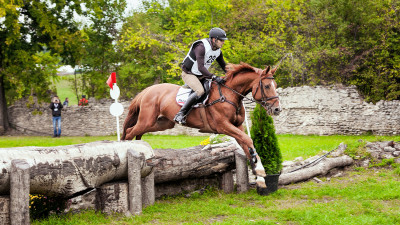 Se dă startul Karpatia Horse Show 2017. Trei zile de competiție, aventură și distracție pe Domeniul Cantacuzino de la Florești