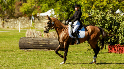 Karpathia Horse Show 2017: Zece mii de vizitatori, zeci de concurenți, un show de nivel internațional