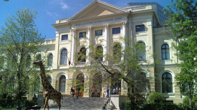 De Halloween, agentia de publicitate Armada impreuna cu Muzeul National de Istorie Naturala “Grigore Antipa”, ii indeamna pe tineri sa nu le fie frica sa mearga la muzeu